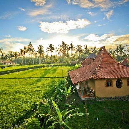 Dragonfly Village Ubud Exterior foto