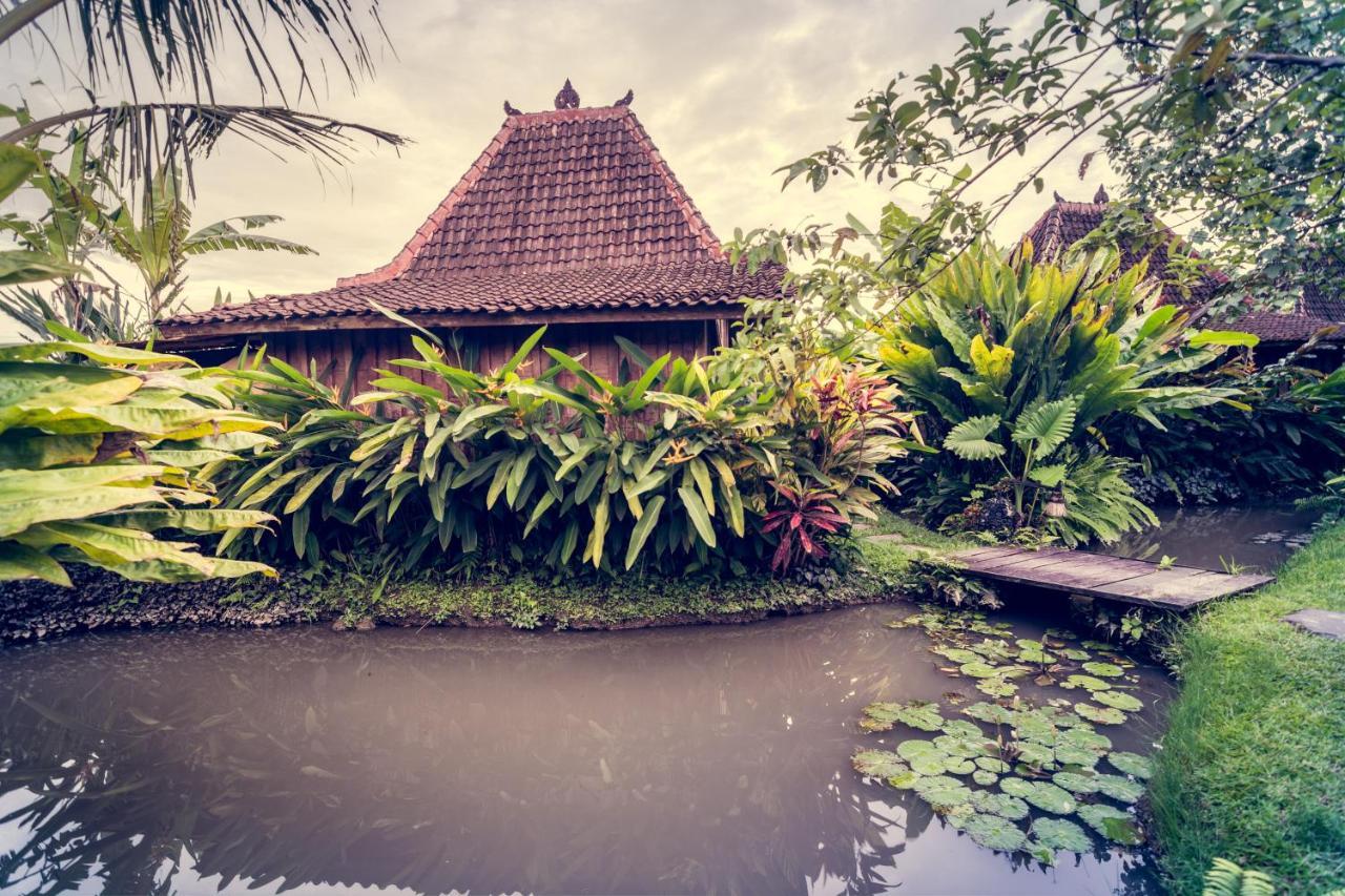 Dragonfly Village Ubud Exterior foto