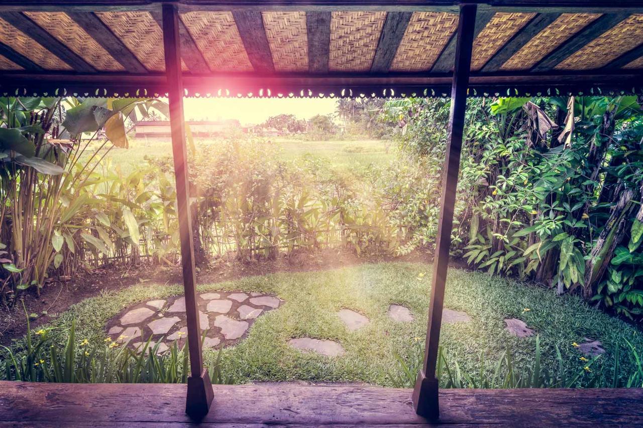 Dragonfly Village Ubud Exterior foto