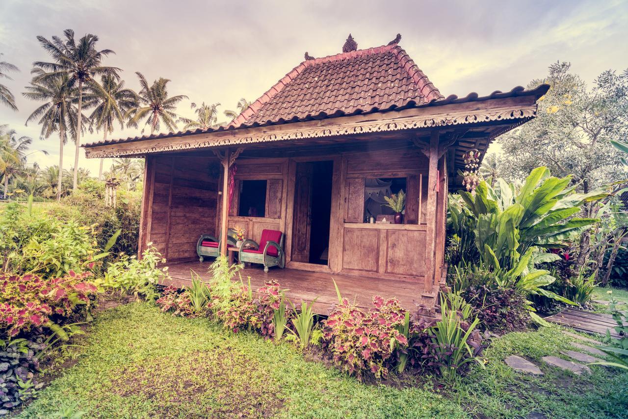 Dragonfly Village Ubud Exterior foto