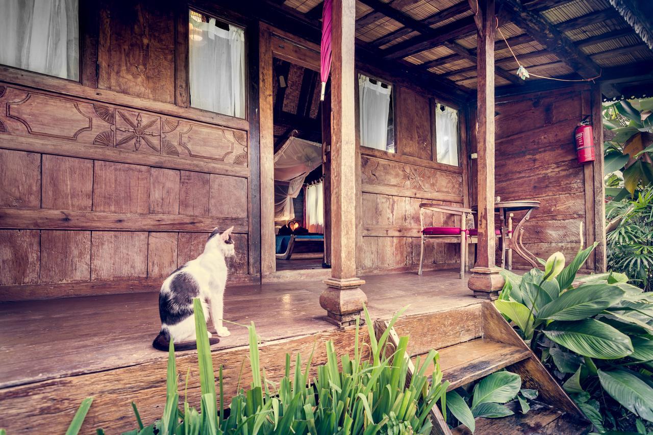 Dragonfly Village Ubud Exterior foto